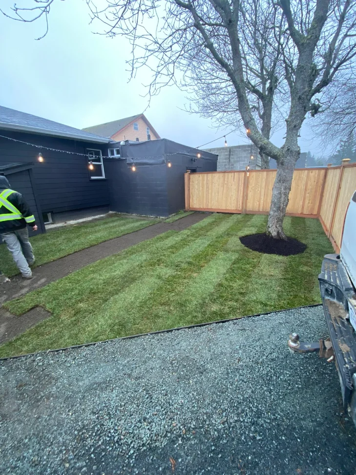 Backyard reset